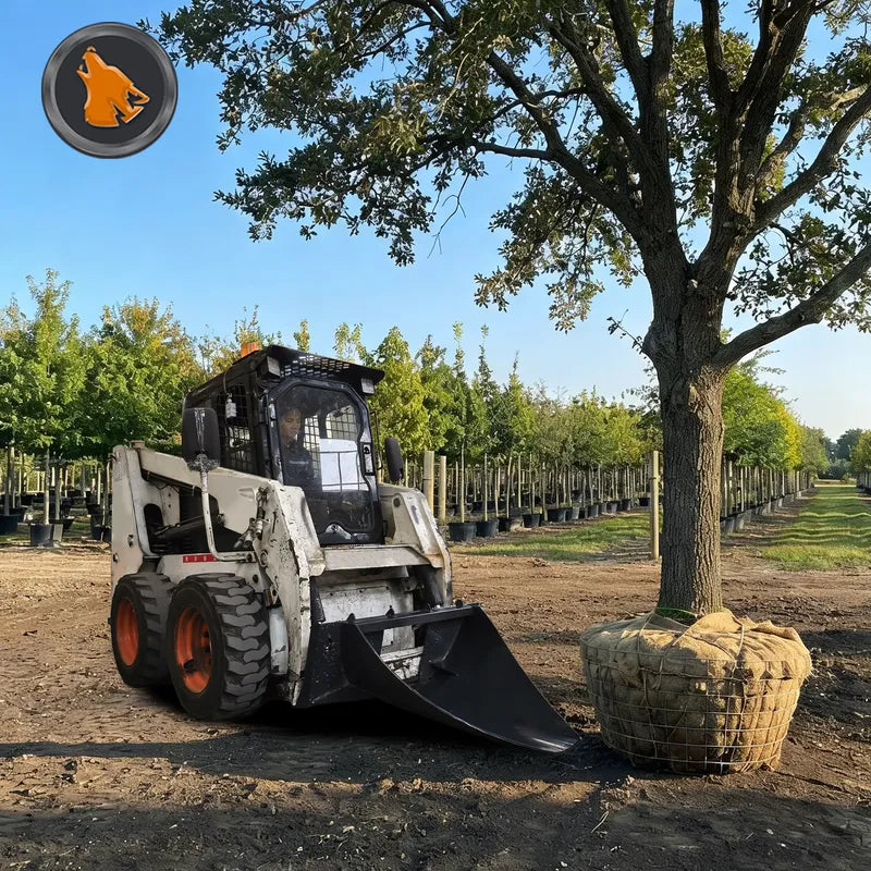 skid steer tree digger work scene